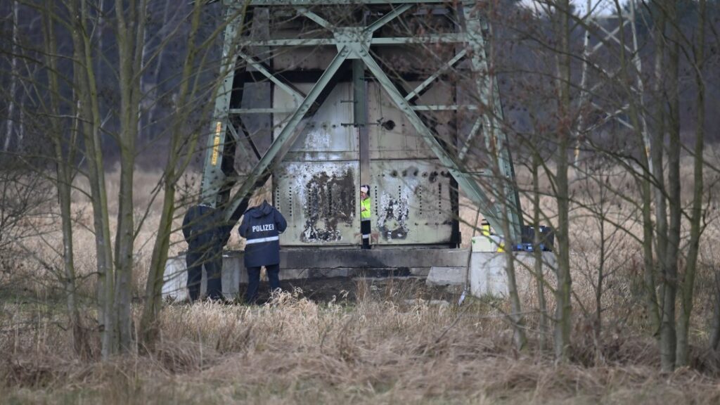 Tesla production in Germany halted after power outage as police suspect arson