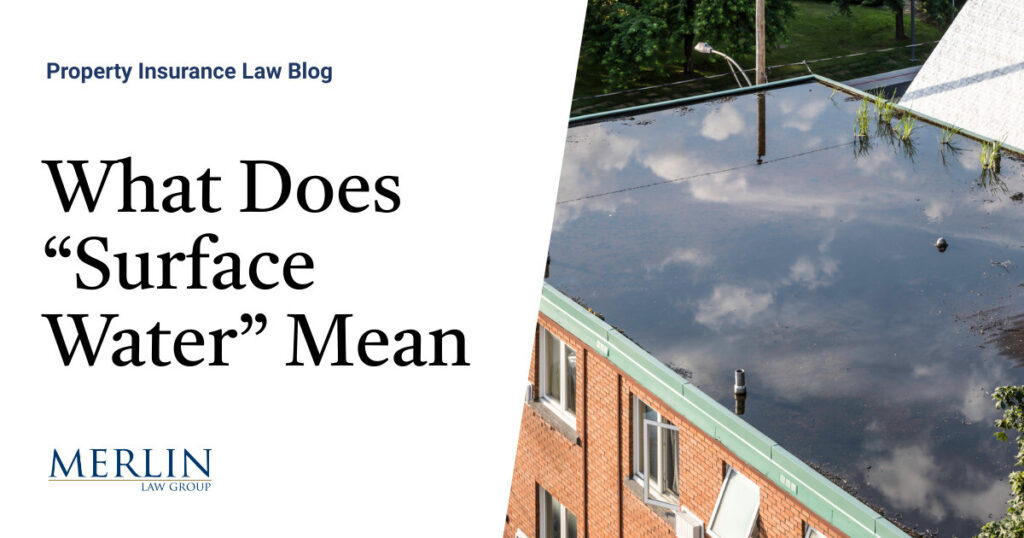 What Does “Surface Water” Mean? NAPIA Files an Amicus Brief in a Legal Fight Over Its Meaning