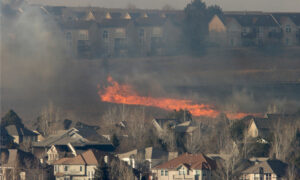 Consumer Watchdog wants mandatory coverage for wildfire-safe homes