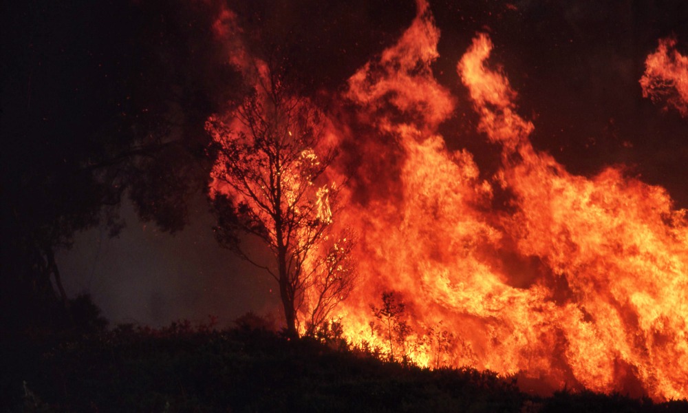 Green Shield, Striior announce collaboration for wildfire analytics and underwriting