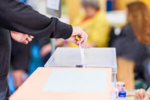 An insight into the 2024 elections and strategic risk management