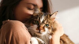 Pet Trusts: What It Is &amp; Why You Need One