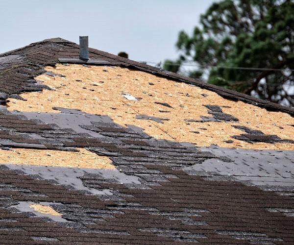 A severely damaged roof with many shingles missing and exposing plywood underneath.