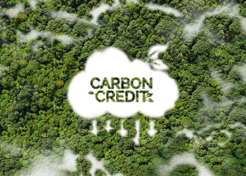 Concept of carbon credits and net-zero emissions