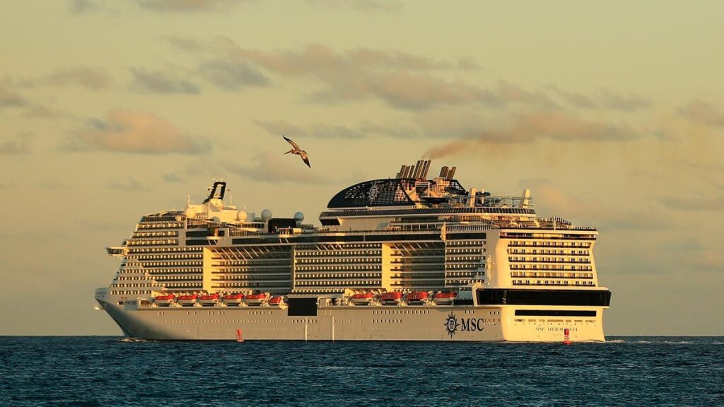 Cruise Ship Likely Killed Endangered Whale Before Dragging Carcass To New York