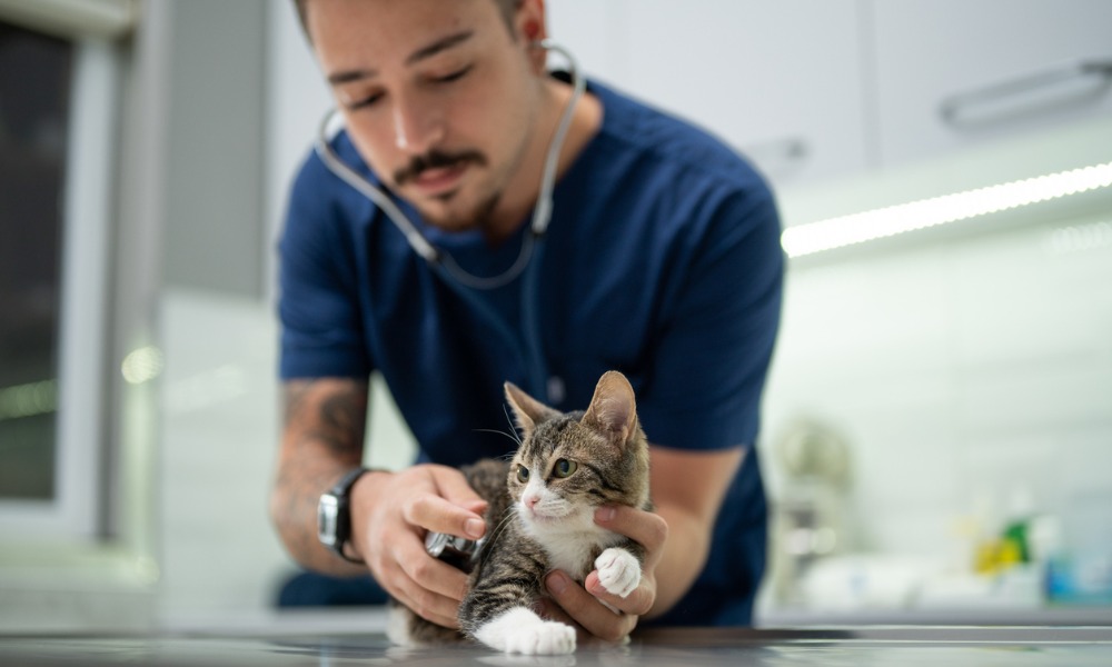 SCPI issues pet ownership tips for insurance clients