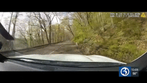 Cops Use Cruiser To Block ATV Rider From Speeding Down Foot Path With Predictable Results