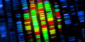 Risk of ‘genetic discrimination’ by insurance companies is ruining people’s trust in vital medical science