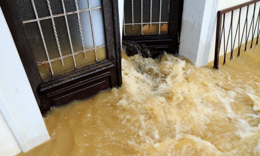 Aucklanders in limbo as council delays flood-damage decisions