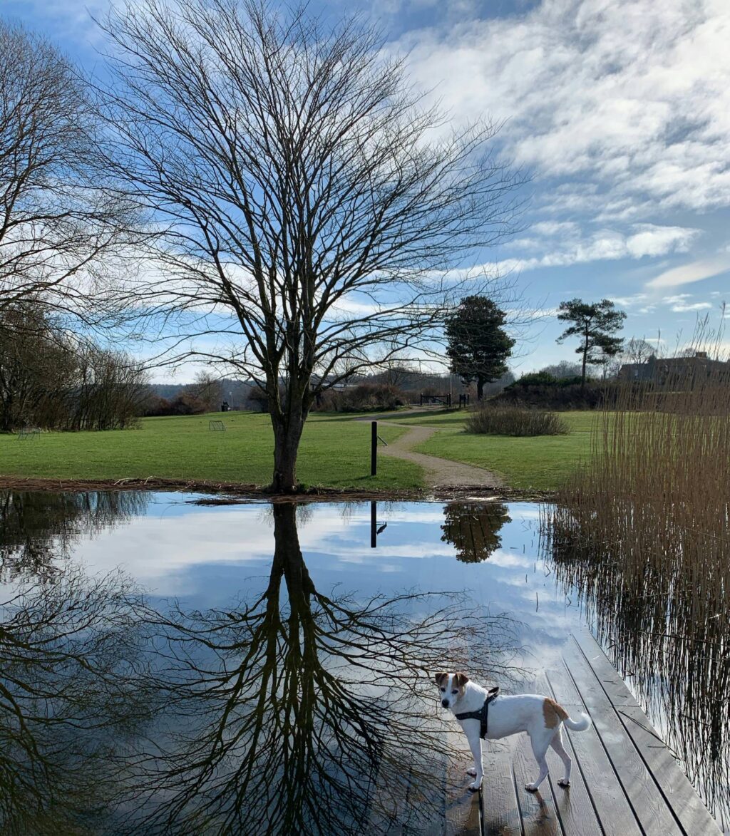 Why sports clubs use FloodFlash for more flexible flood cover