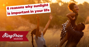 6 reasons why sunlight is important in your life