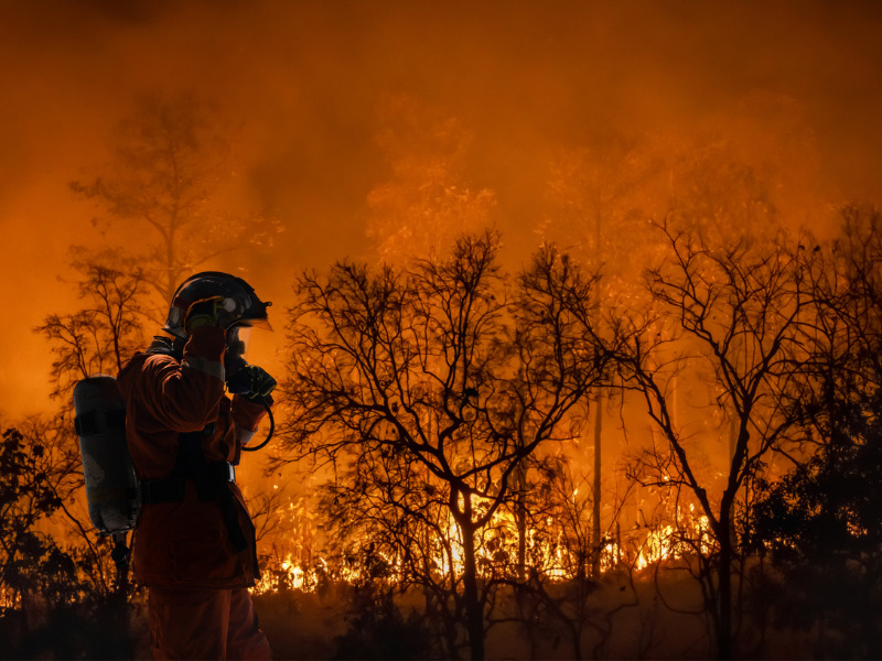 Firefighter battling a wildfire