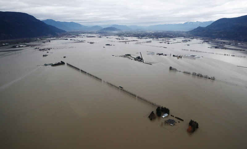 Flooded farms in Abbotsford, B.C.