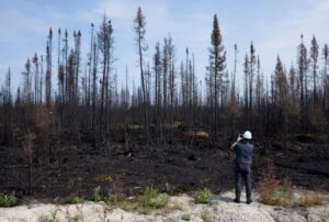 A reporter takes a photo of trees damaged by fire during a tour near Lebel-sur-Quevillon, Quebec on Wednesday, July 5, 2023. THE CANADIAN PRESS/Adrian Wyld