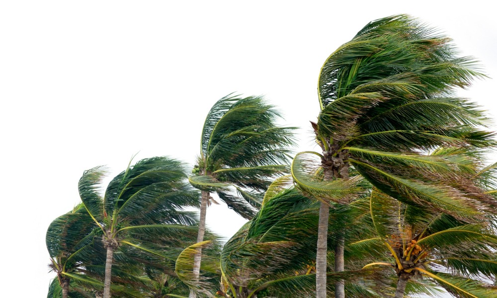 Swiss Re on the wild hurricane season and extreme heat's impact