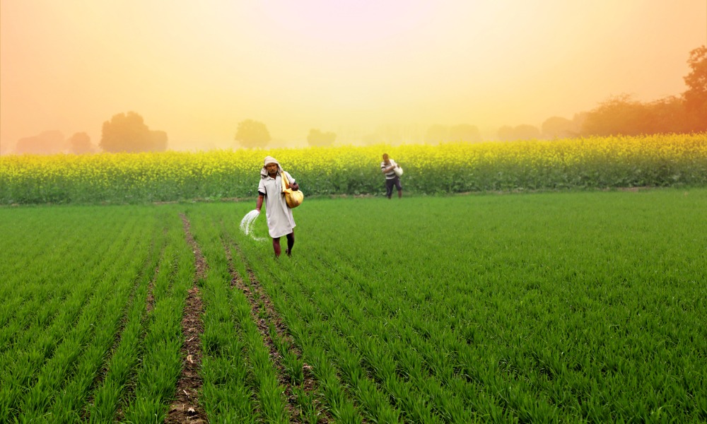 Indian insurers cut crop insurance in FY24 despite government expansion efforts