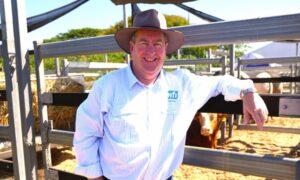 Report unveils key trends in farming safety in Australia