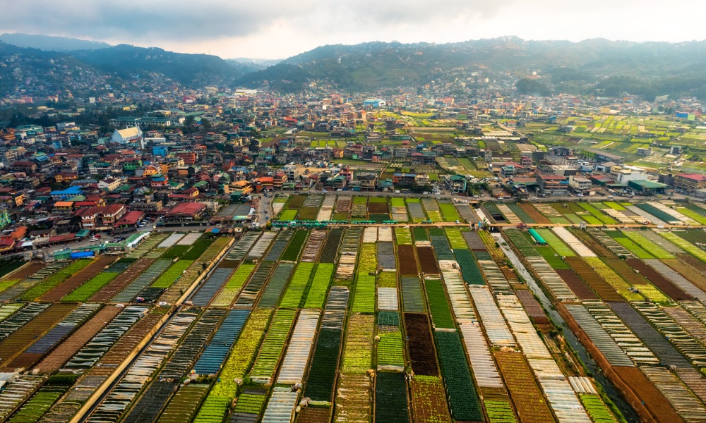 Philippine agriculture secretary urges crop insurance overhaul