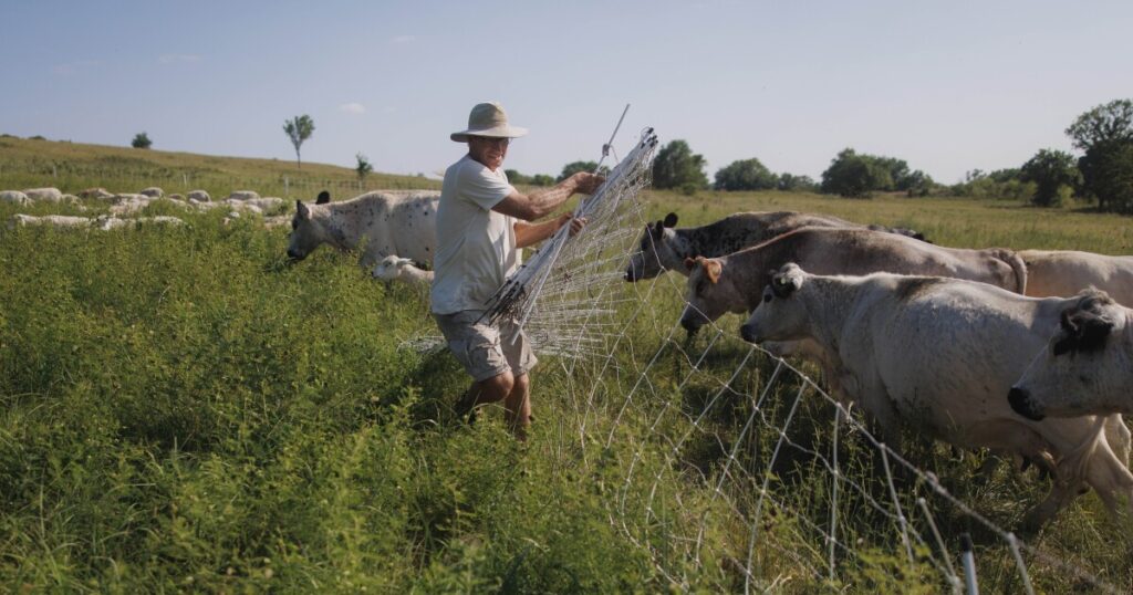 US farmers want to adapt to climate change, but crop insurance won't let them