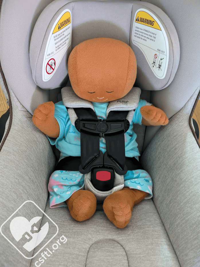 Car Seats For The Littles