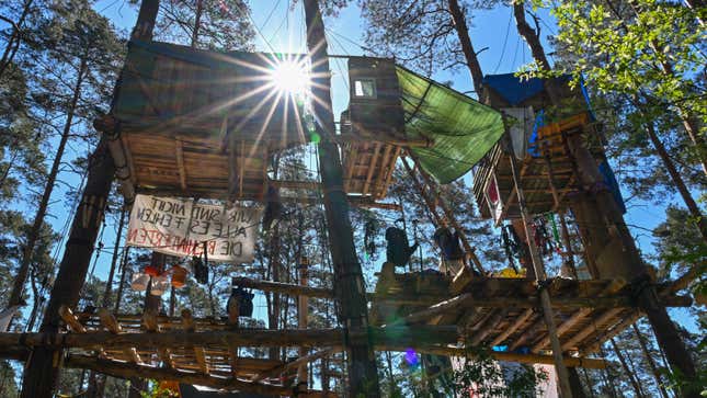 A photo of a tree house in a forest in Germany