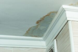 does home insurance cover water damage