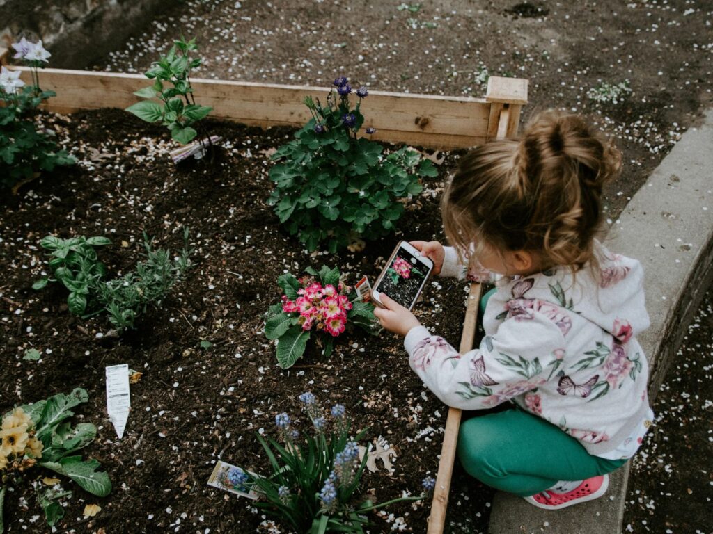 Little girl crouched, using a phone to take pictures of flowers that have been planted 