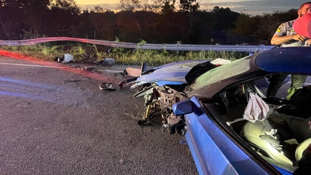 Corvette Thief Hides In Swamp After Wrecking Stolen C7 In 100-MPH Police Chase