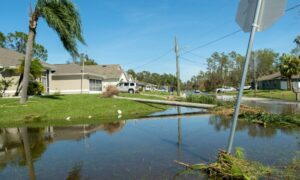 Hurricane Francine losses could reach $1.5 billion – CoreLogic