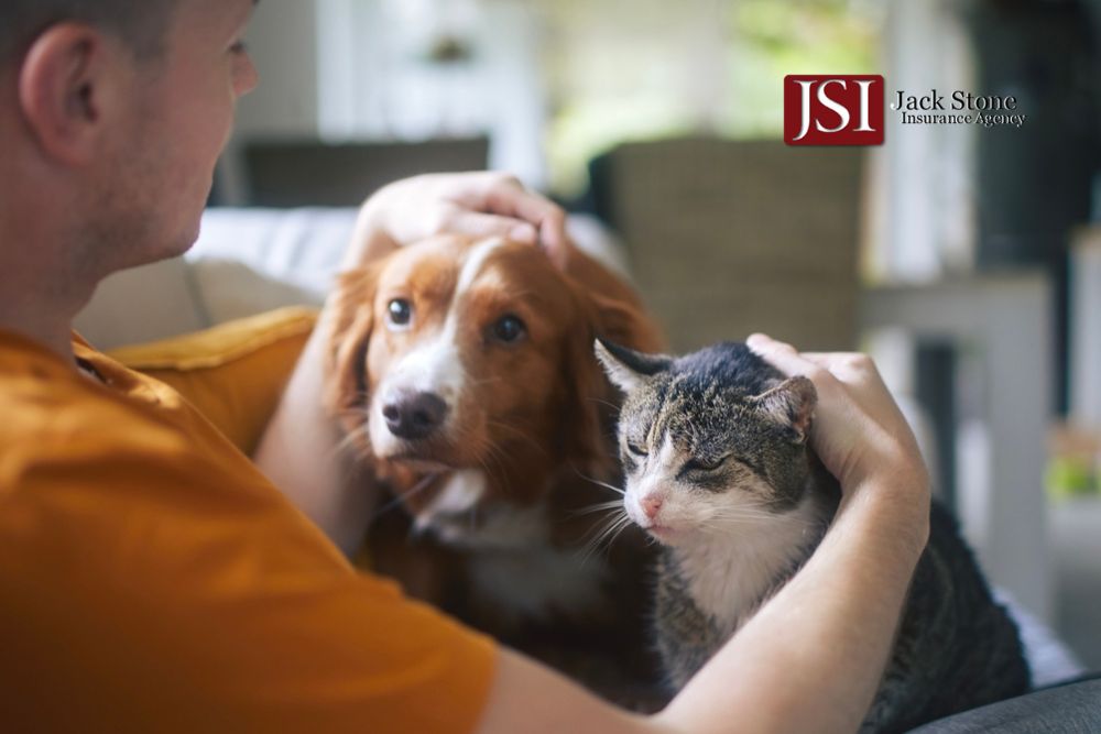 Can You Buy Pet Insurance for All Your Pets?