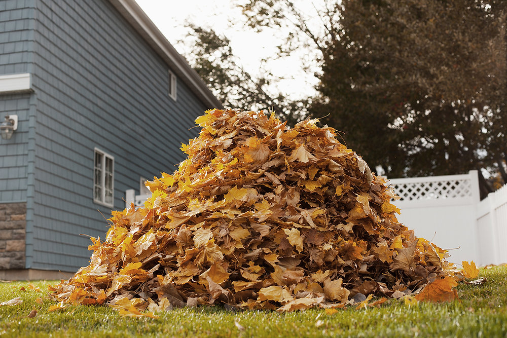 GETTING YOUR HOME AND AUTO READY FOR THE CHANGING SEASONS