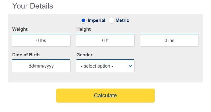 bmi calculator image