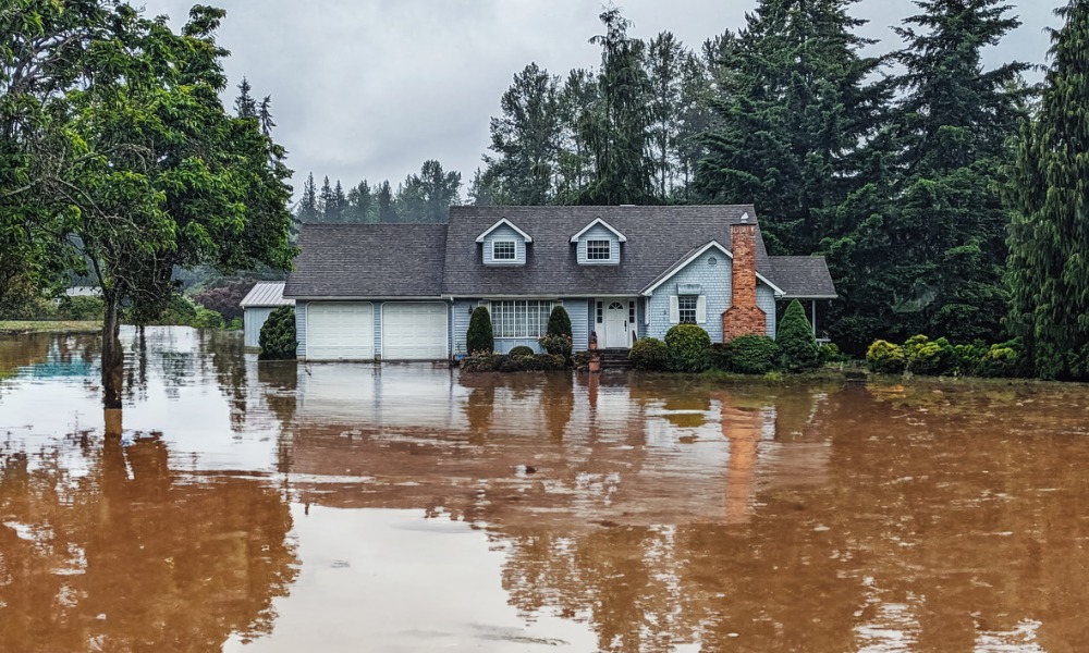 Insurers step up for flood-hit Dunedin