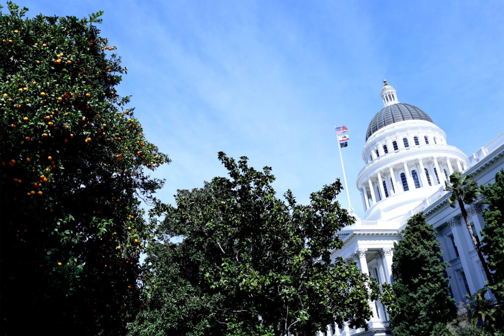 A photo of the California State Capitol at an angle on a sunny day. Orange and palm trees are seen in the foreground in front of the building.