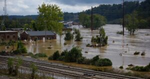 What Florida's post-hurricane landscape means for insurers